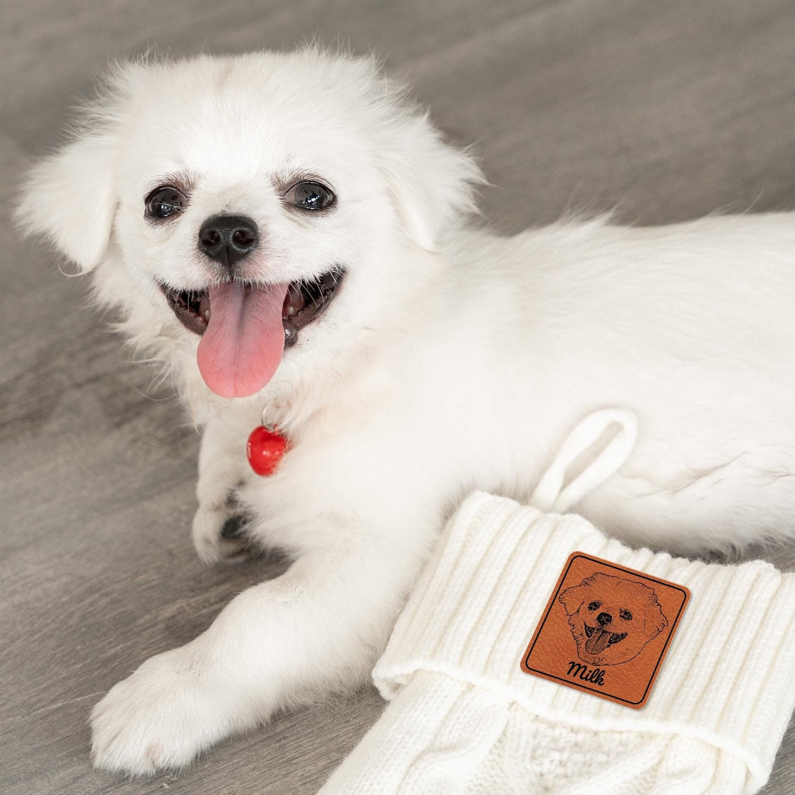 Personalized Pet Christmas Stocking with Pet Face and Name Gift for Pet Lovers