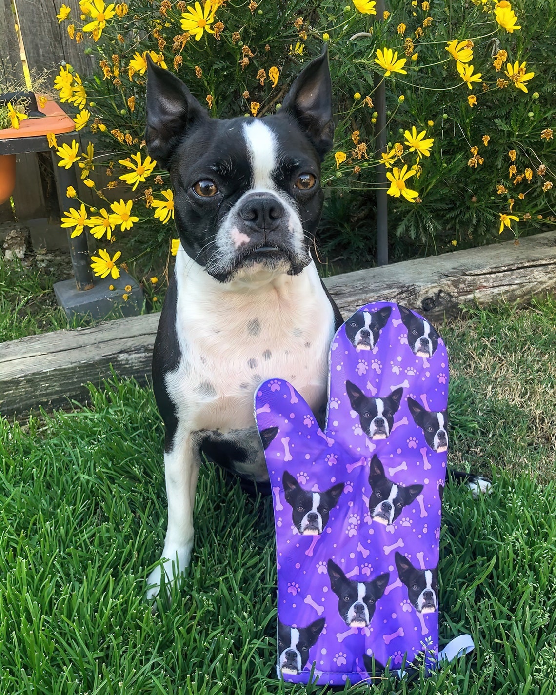 Cara de mascota bordada personalizada y nombre de mascota sudadera retrato de perro bordado cuello redondo regalo amante de las mascotas