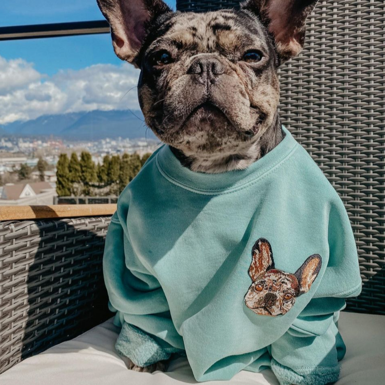 Sweatshirt mit individueller Bestickung und Haustierportrait, Geschenk für Tierliebhaber