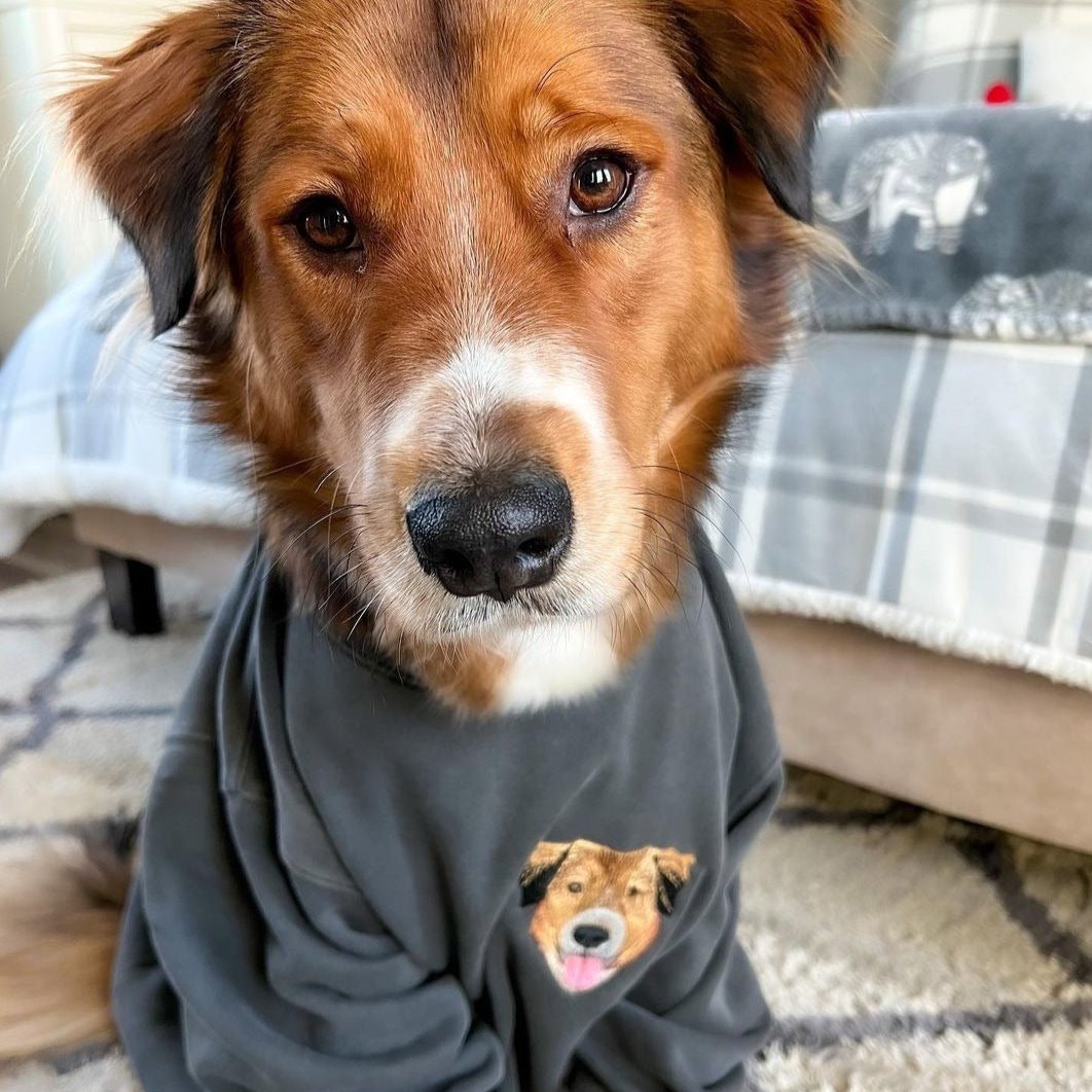 Sweatshirt mit individueller Bestickung und Haustierportrait, Geschenk für Tierliebhaber